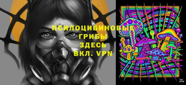 мет Арсеньев