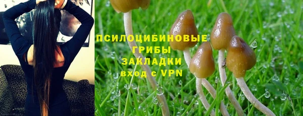 тгк Алексин